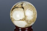 Polished Baryte and Marcasite Sphere - Lubin Mine, Poland #175429-3